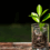 Consider Investing via Unit Trusts with STANLIB